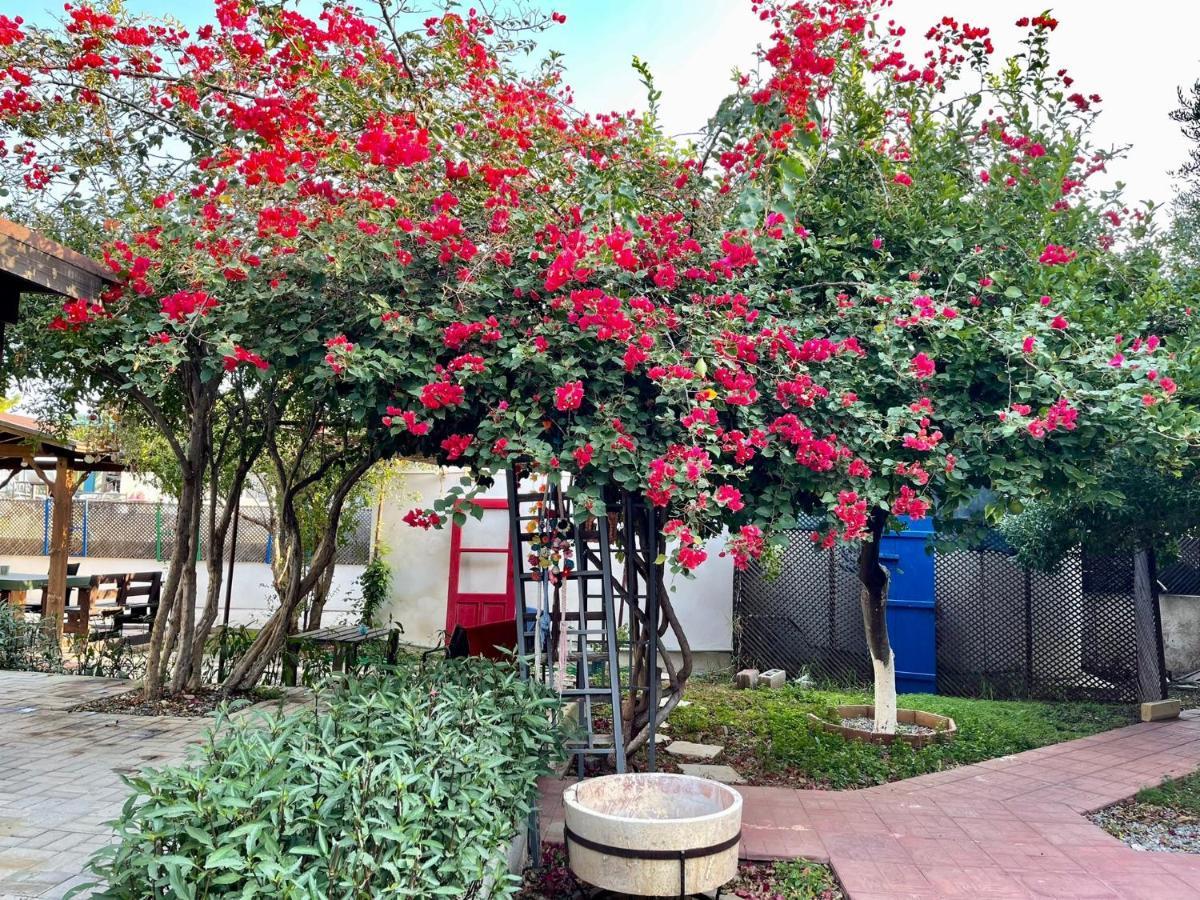 Betul Guest House Famagusta  Exterior foto